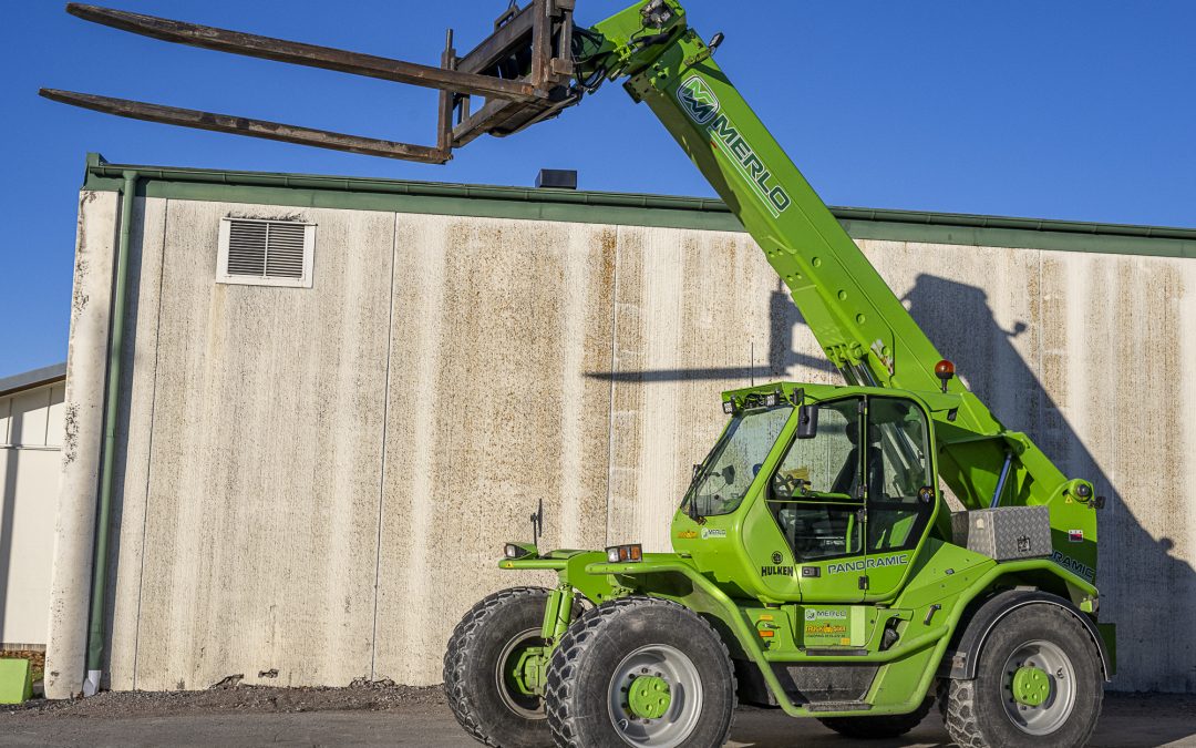 Merlo 10110